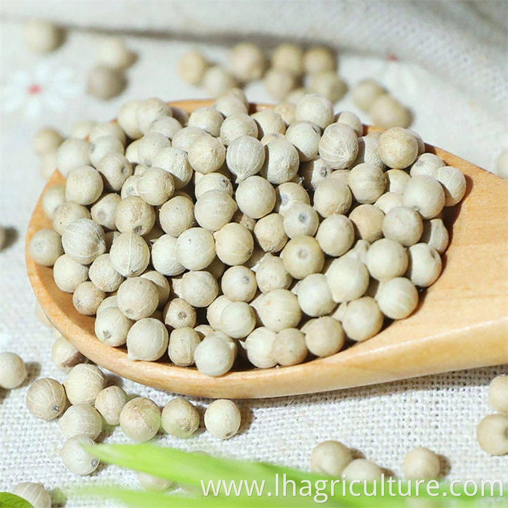 Hainan White Pepper Jpg